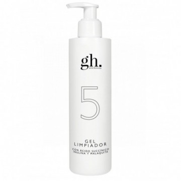 GH 5 Gel Limpiador 250ml